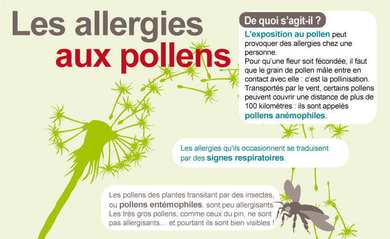 Les allergies au pollen