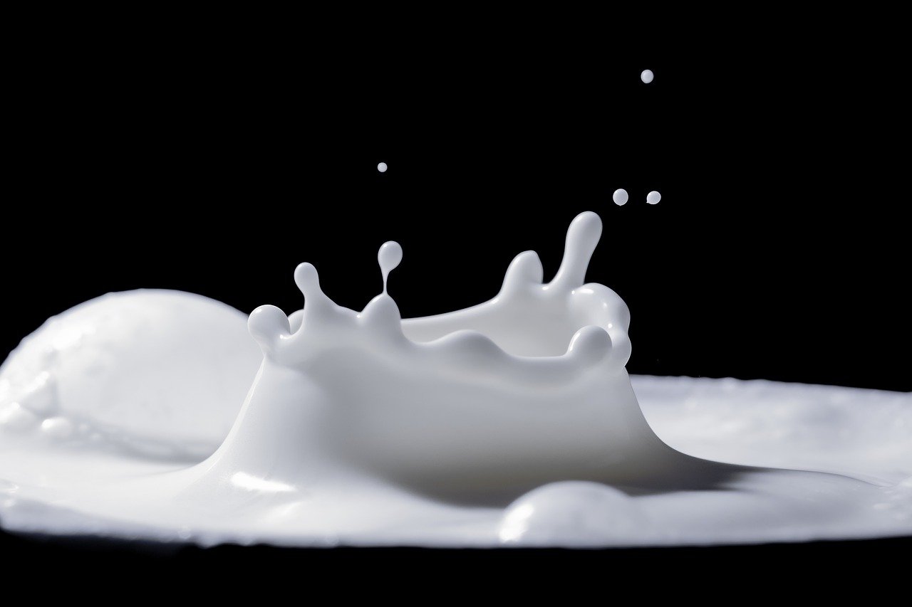 L’intolérance au lactose L’intolérance au lactose