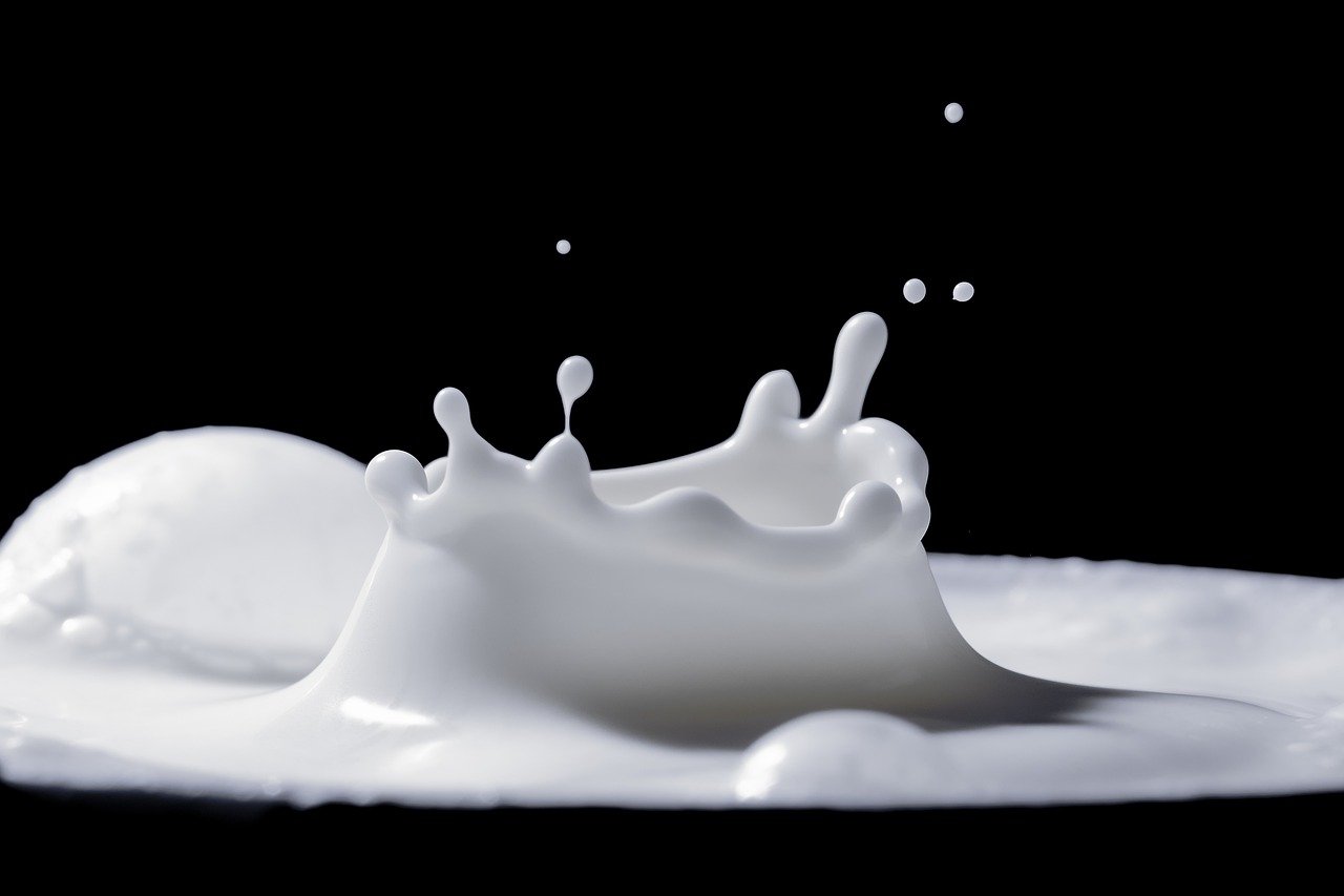 L’intolérance au lactose