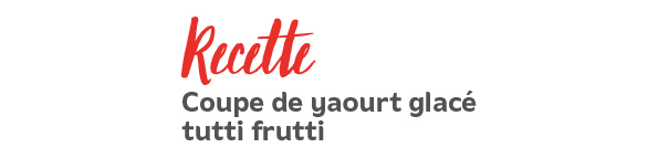 Yaourt glacé tutti frutti Yaourt glacé tutti frutti